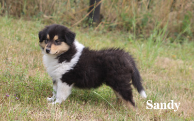 Sandy - 7. Woche